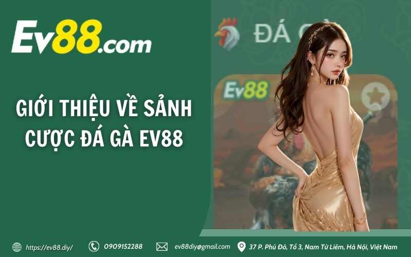 Đá Gà EV88 – Sân chơi cá cược đá gà trực tuyến uy tín 2 Giới thiệu về sảnh cược đá gà EV88