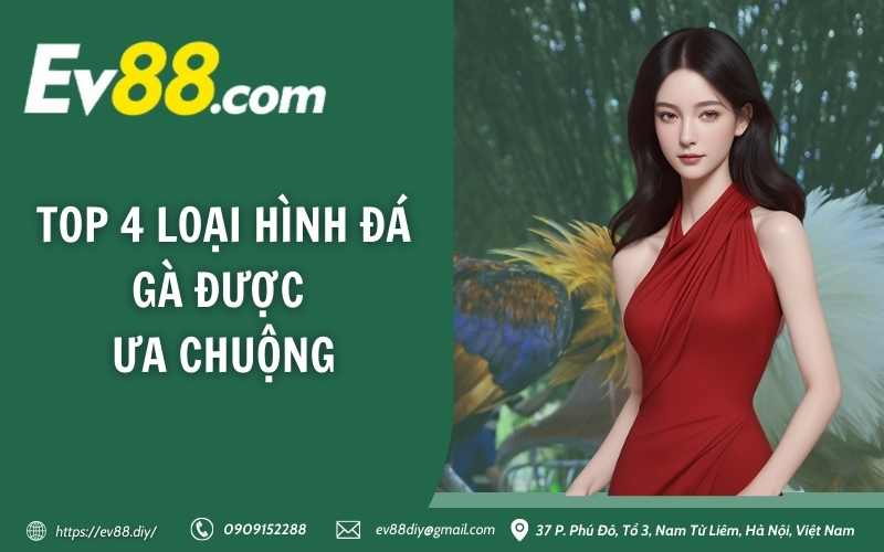 Đá Gà EV88 – Sân chơi cá cược đá gà trực tuyến uy tín 4 Top 4 loại hình đá gà được ưa chuộng