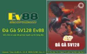 da ga sv128 ev88 1