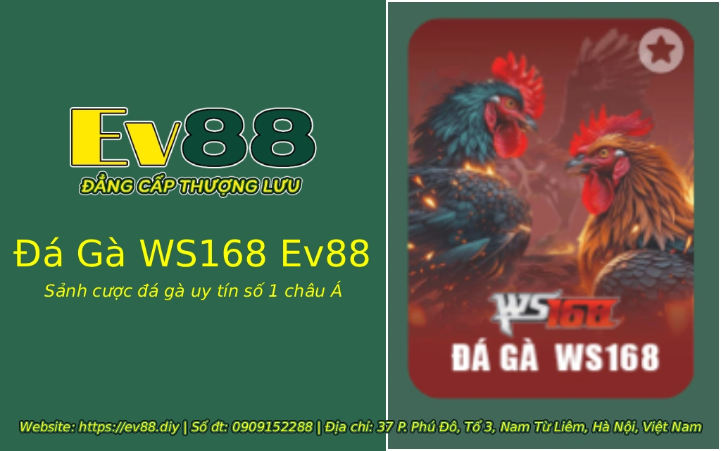 Đá Gà WS168 Ev88 - Sảnh cược đá gà uy tín số 1 châu Á 1 da ga ws168 ev88 1