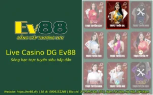 live casino dg ev88 2